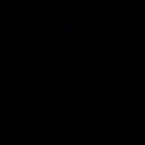 Meet your Posher, Calvin